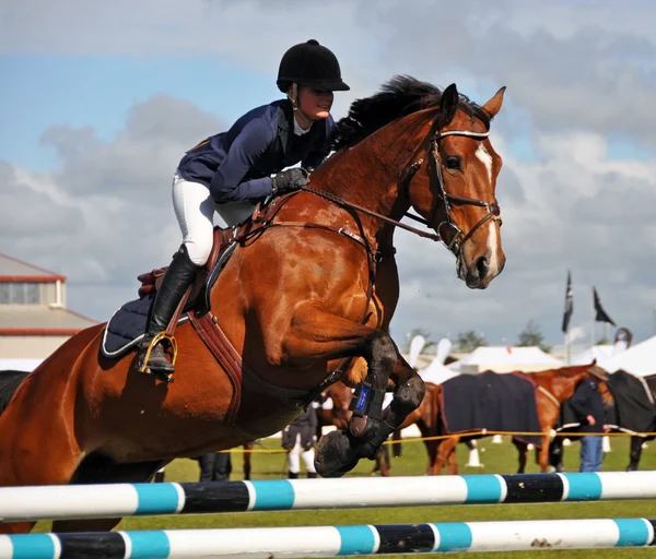 Paardensport die beoefend werden tijdens de 2012 canterbury amp weergeven. — Stockfoto