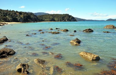Abel Tasman Ulusal Parkı, Yeni Zelanda