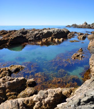 Kaikoura kaya havuzu dikey Panoraması, Yeni Zelanda
