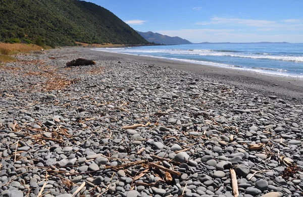 Kaikoura Stoney пляж, Нова Зеландія — стокове фото