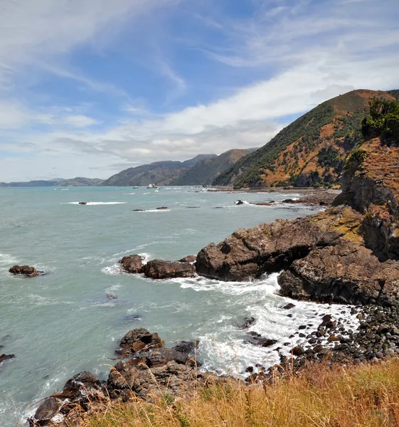 Панорама вертикальна Kaikoura дивиться на південь, Нова Зеландія — стокове фото