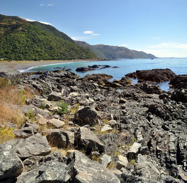 Kaikoura Vertical Panorama, Nova Zelândia — Fotografia de Stock