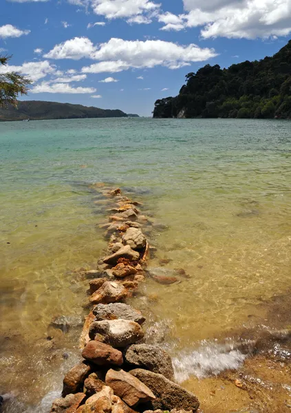 Marahau laguny, abel tasman national park, Nowa Zelandia — Zdjęcie stockowe