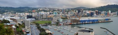 erken sabah, Yeni Zelanda Wellington şehir panoraması