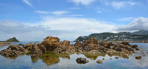 Panorama of Island Bay, Wellington New Zealand — Stock Photo, Image