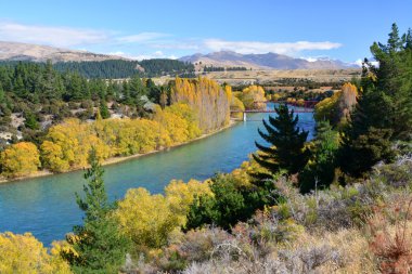 clutha Nehri & köprü Güz, otago, Yeni Zelanda