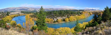 clutha Nehri & köprü panorama Güz, otago, Yeni Zelanda