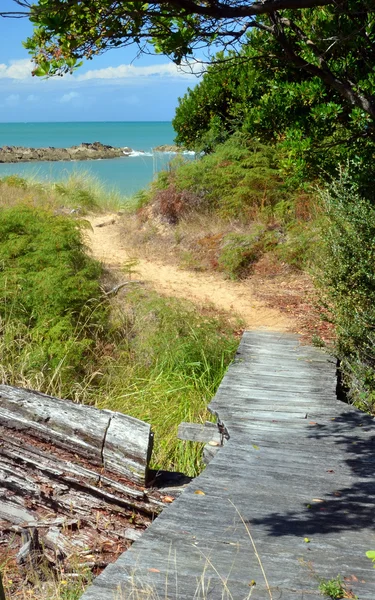 Utwór na plażę w ngaio zatoka, abel tasman national park. — Zdjęcie stockowe