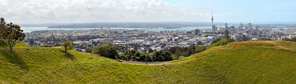 Panoramablick auf auckland city vom berg eden. — Stockfoto