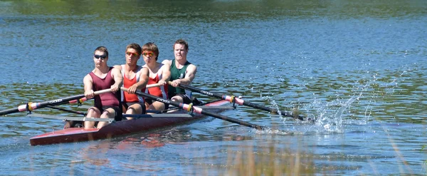 Maximale inspanning op de avon river, christchurch. — Stockfoto