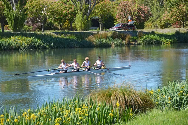 Roeiers op de avon river, christchurch. — Stockfoto