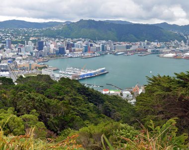 Wellington şehir & harbour dikey Panoraması, Yeni Zelanda