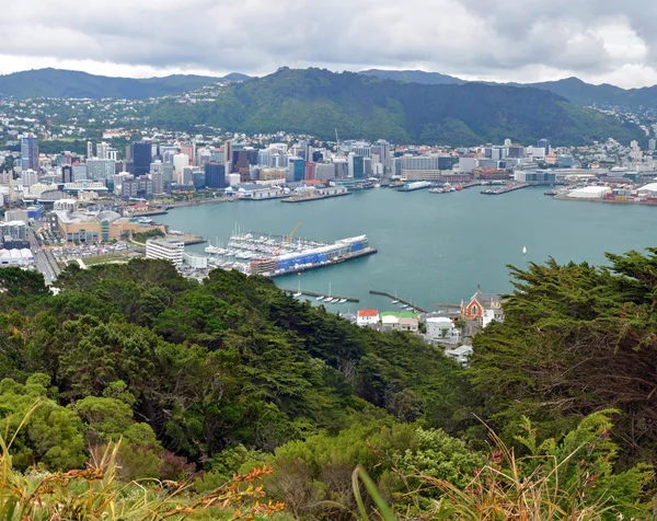 ウェリントン市 & 港垂直方向のパノラマ、ニュージーランド — ストック写真
