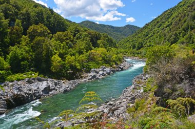 görkemli buller nehrin Batı Yakası buller gorge girer.