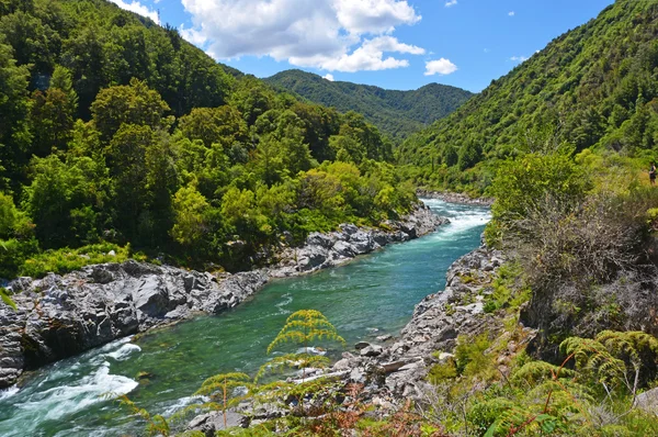 Rzeki buller majestatyczny wchodzi west coast buller gorge. — Zdjęcie stockowe