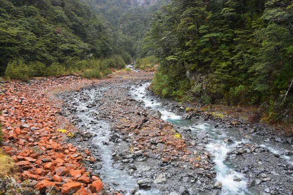 Arthurs Pass Rocce Rosse, Fiume e Faggi — Foto Stock