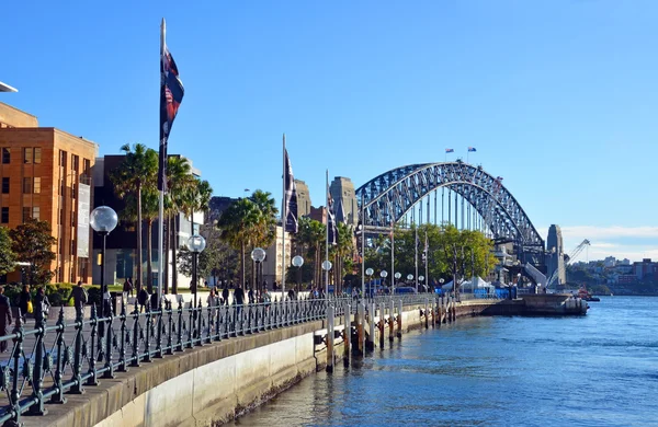 Sydney harbour bridge & museum för samtida konst — Stockfoto
