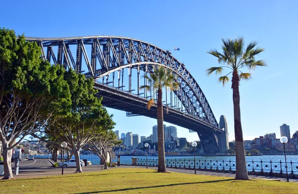 Sydney harbour bridge & palm stromy od dawes bod parku — Stock fotografie