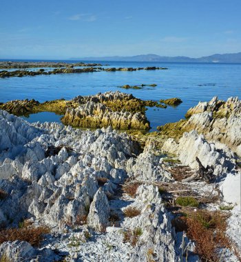 Deprem - Kaikoura kıyıları bir metre yükseldi, Yeni Zelanda.