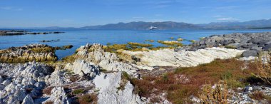Earthquake - Shoreline is raised by one to two metres panorama, kaikoura, New Zealand. clipart