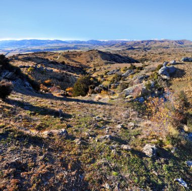 Otago şehir merkezindeki Bendigo İstasyonu çiftliği. Sonbaharda, Yeni Zelanda 'da Yüksek Ülke Merino Koyun Çiftliği