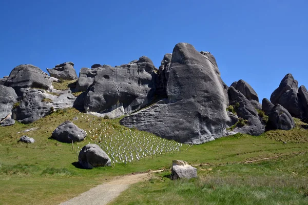 Castle Hill Rocks North Canterbury New Zealand Spring — Stockfoto