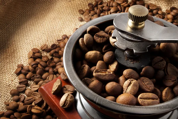 Coffee grinder. — Stock Photo, Image