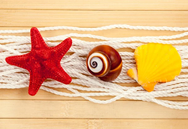 Muscheln. — Stockfoto