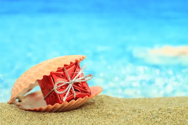 Deniz kabuğu Plajı hediye kutusunda