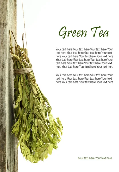Chá verde seco pendurado em uma corda — Fotografia de Stock