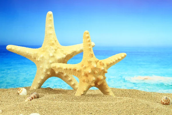 Pár hvězdice na pláži — Stock fotografie
