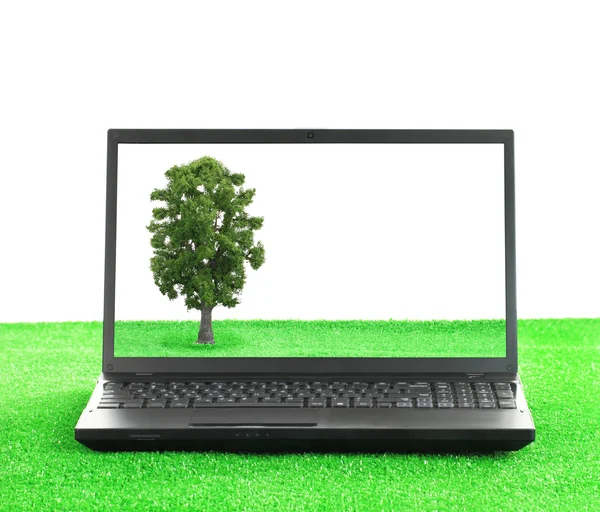 Tecnología verde. Ordenador portátil en la hierba con un árbol en la pantalla —  Fotos de Stock