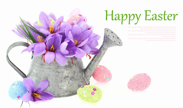 Huevos de Pascua y flores de azafrán en una regadera — Foto de Stock