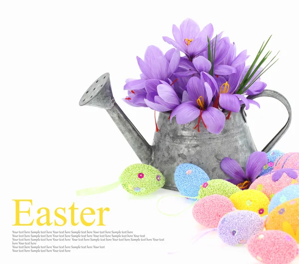Easter eggs and saffron flowers in a watering can — Stock Photo, Image