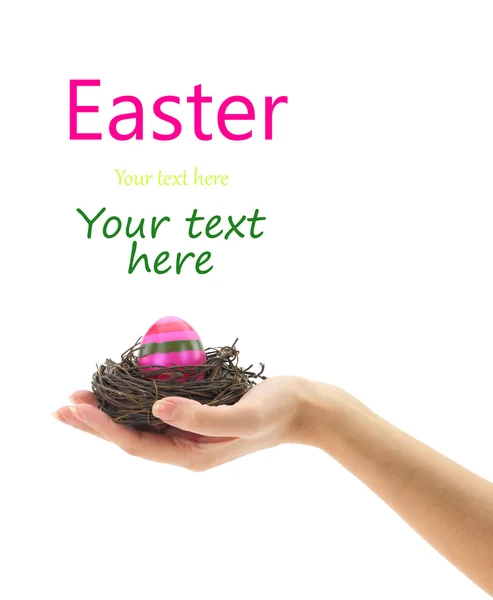 Female hand holding a colorful Easter egg in the nest — Stock Photo, Image