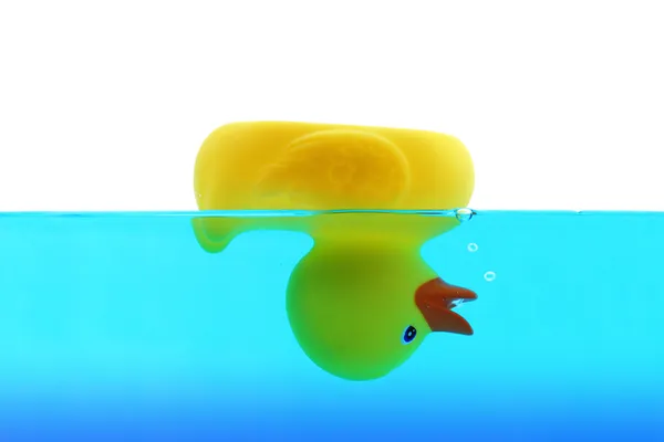 Utopení kachna v modré vodě — Stock fotografie