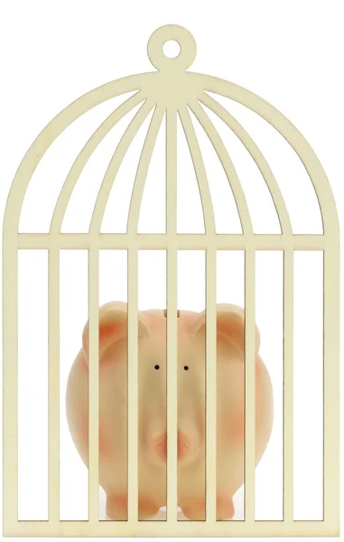 Piggy bank behind the cage — Stock Photo, Image