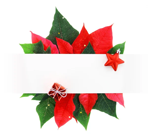 Christmas banner made of poinsettia leaves — Zdjęcie stockowe