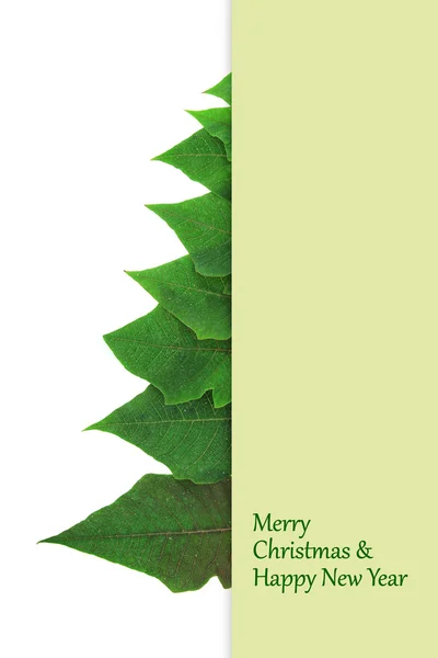 Christmas tree made of green poinsettia leaves — Stock Photo, Image