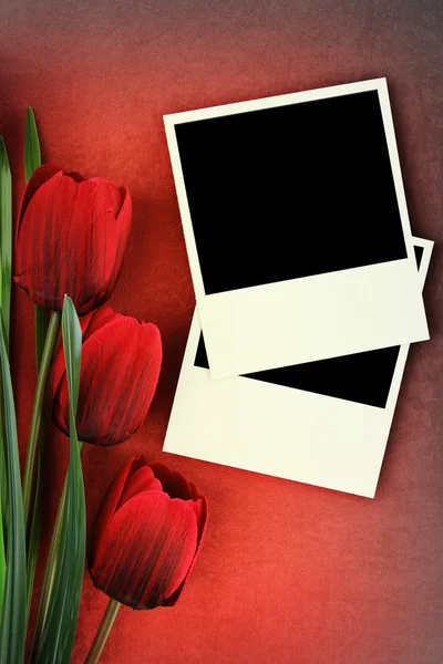 Полароидная рамка и тюльпаны на винтажном фоне — стоковое фото