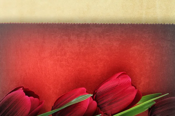 Beautiful tulip flowers on vintage background — Stock Photo, Image