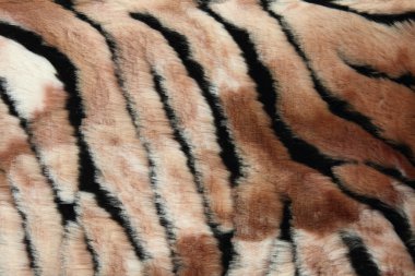 Close-Up kürk arka plan