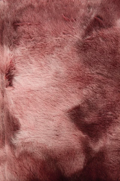 Close-up of fur background — Stock Photo, Image