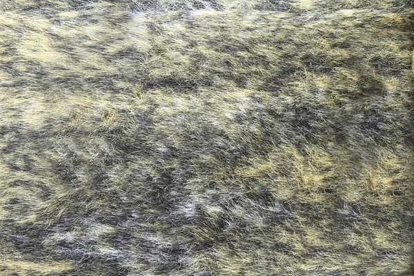 Close-up of fur background — Stock Photo, Image