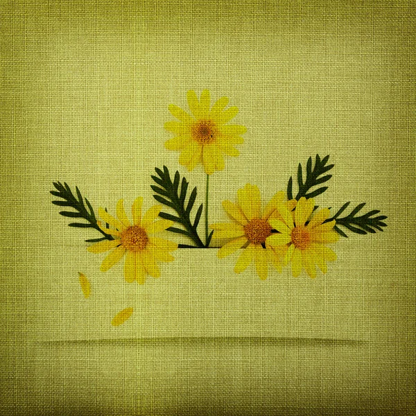 Flores de margarita en textura de tela —  Fotos de Stock