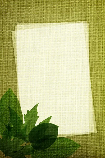 Zielonych liści na tekstura tkanina z kopia miejsce — Zdjęcie stockowe
