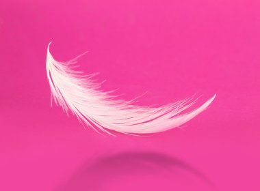 Pembe Beyaz tüy gölge ile uçan