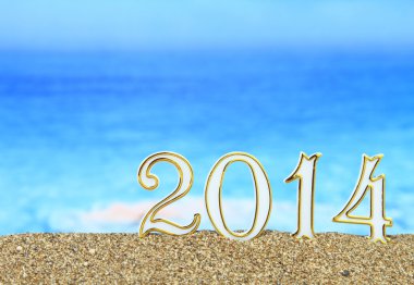 Sahilde yeni yıl 2014
