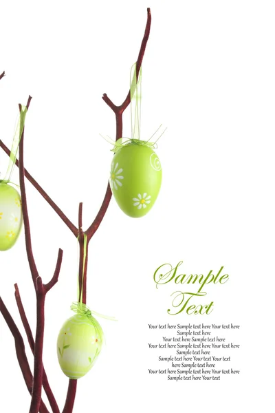 Easter eggs hanging on a pussy willow branch — Stock Photo, Image