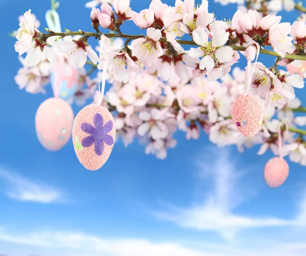 Easter eggs hanging on the almond tree — Stock Photo, Image
